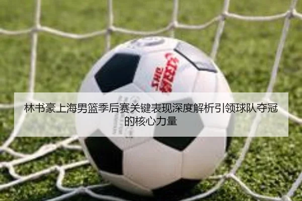 林书豪上海男篮季后赛关键表现深度解析引领球队夺冠的核心力量
