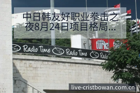 中日韩友好职业拳击之夜8月24日项目格局与走势分析 - 博万体育中国官网